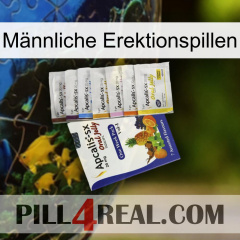 Männliche Erektionspillen 11
